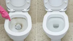 Leave this solution in the toilet overnight and it will be perfectly clean: Experts share their secret